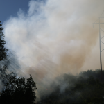 As a key piece of infrastructure, mangers focused on protecting the TriState Transmission Lines through low-intensity fire in order to prevent future high-intensity fire in the area. Photo credit: Lorena Williams, San Juan NF.